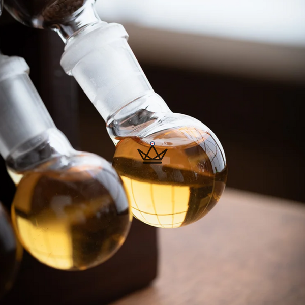 Premium Cigar Infuser – Infusio Scala | 5 Cigars