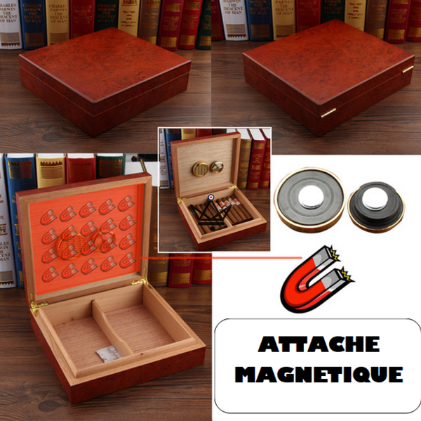 Cave à cigares Wood Magnet — cèdre espagnol, hygromètre magnétique | 20 cigares – 3/30