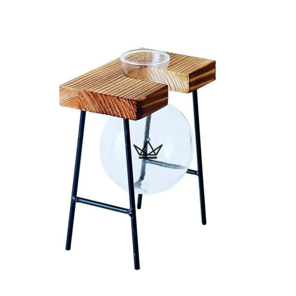 Terrarium en ampoule - ETABLY - Atelier Atypique