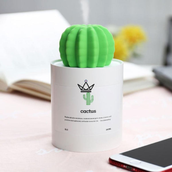 Diffuseur d'huile essentielle - CACTUS - Atelier Atypique