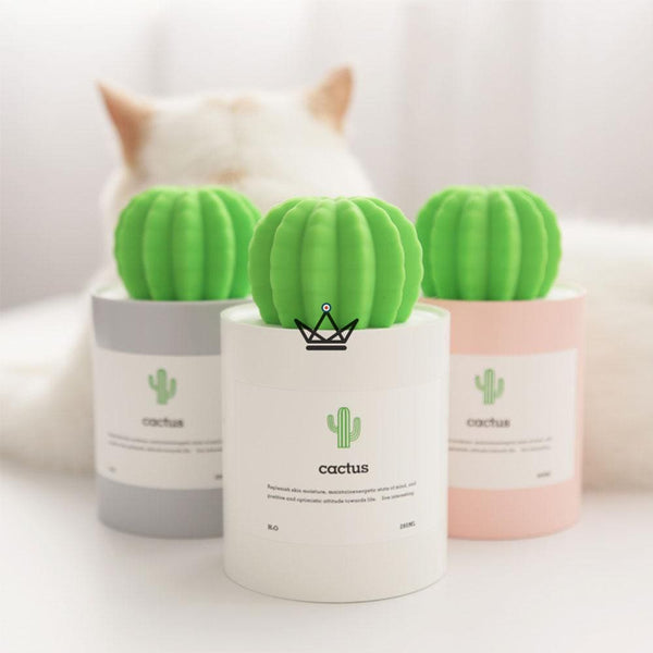 Diffuseur d'huile essentielle - CACTUS - Atelier Atypique