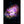 Poster van nevel en sterrenstelsel op canvas, 17 visuals - NEBULA